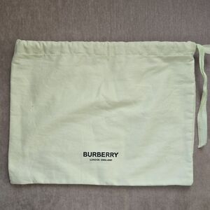 Burberry New Light Green Dustbag
